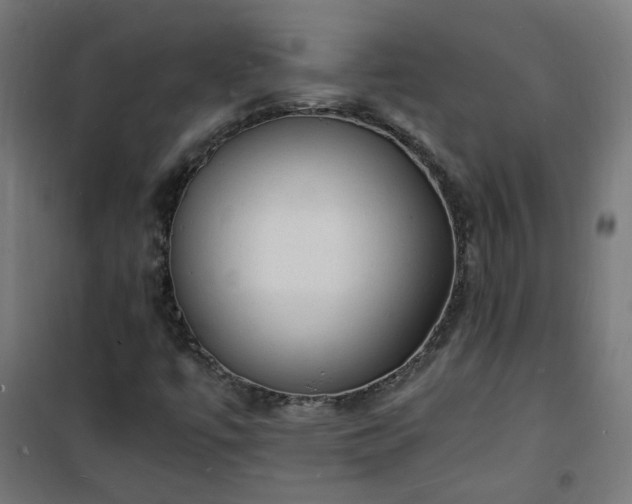 X0000101481447200807141404