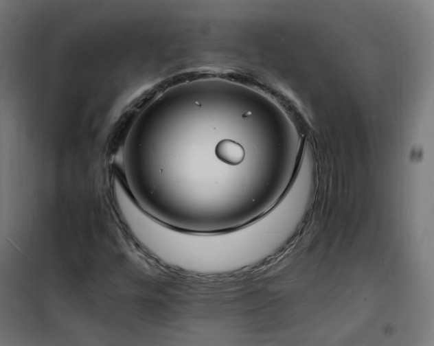 X0000101481448200807141404