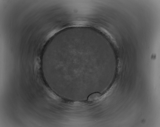 X0000101481449200807141404