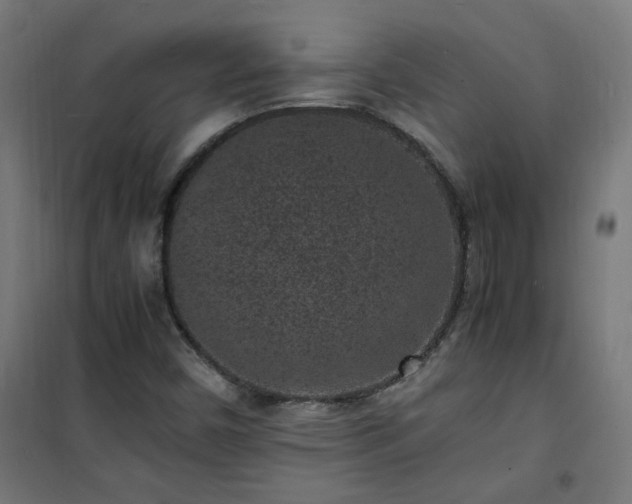 X0000101481450200807141404