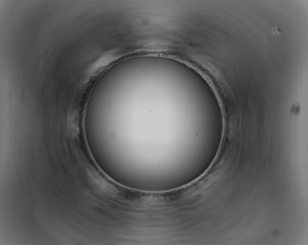 X0000101481451200807141404