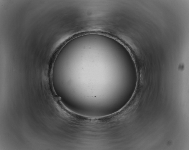 X0000101481452200807141404