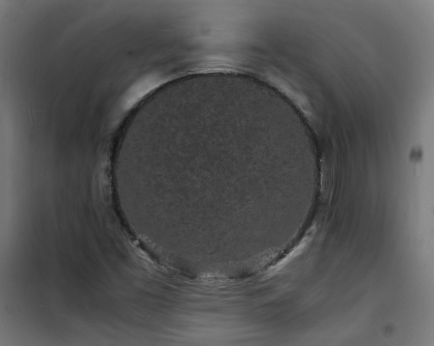 X0000101481453200807141404