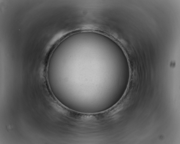 X0000101481454200807141404