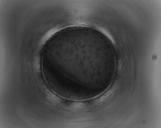X0000101481455200807141403