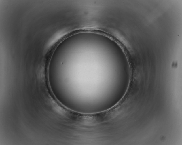 X0000101481456200807141403