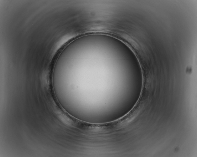 X0000101481458200807141403