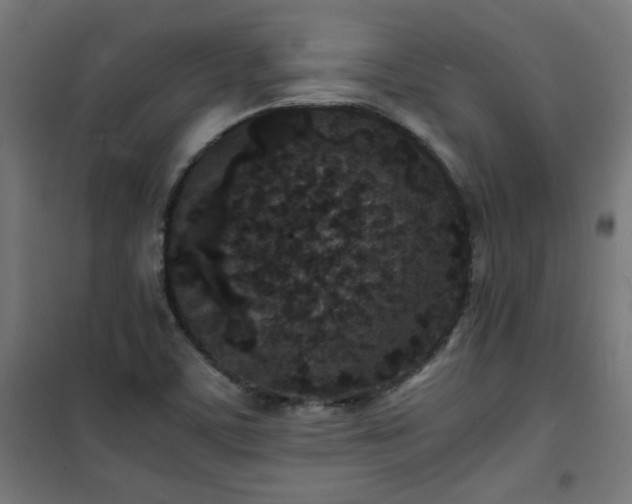 X0000101481459200807141403
