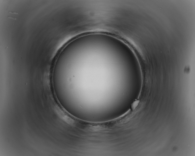 X0000101481460200807141403