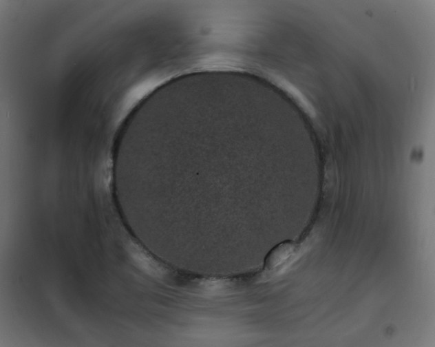 X0000101481461200807141403