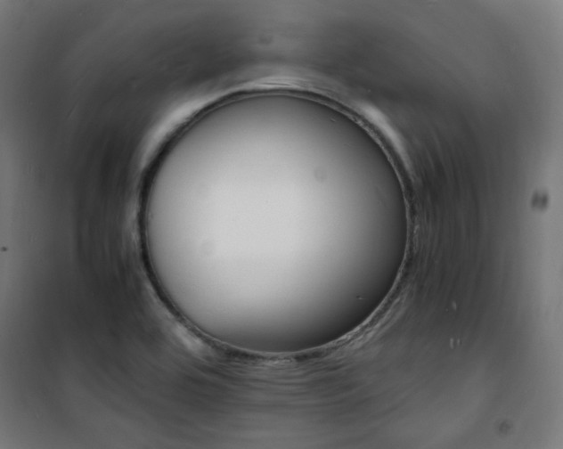 X0000101481464200807141403