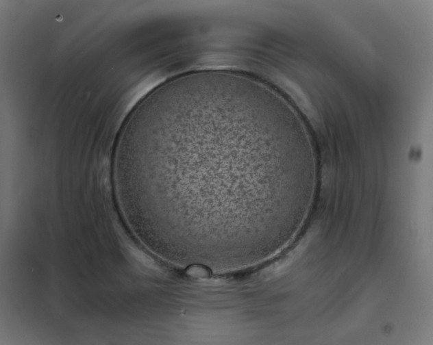 X0000101481465200807141403