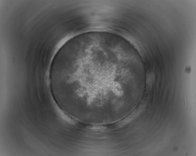 X0000101481466200807141403