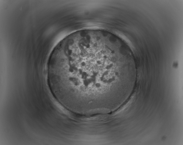 X0000101481467200807141403