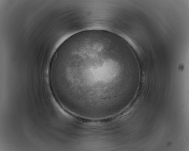 X0000101481468200807141403