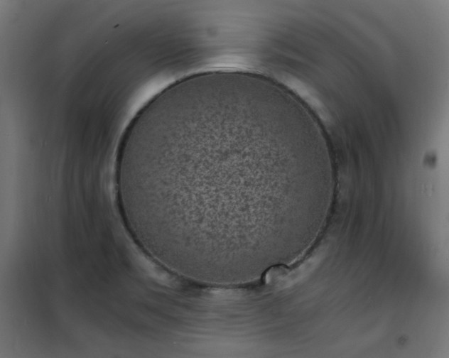 X0000101481469200807141403