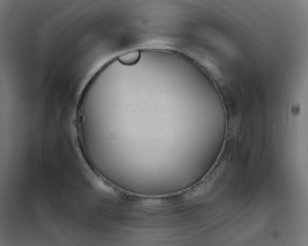 X0000101481470200807141403