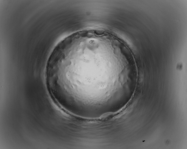 X0000101481471200807141403