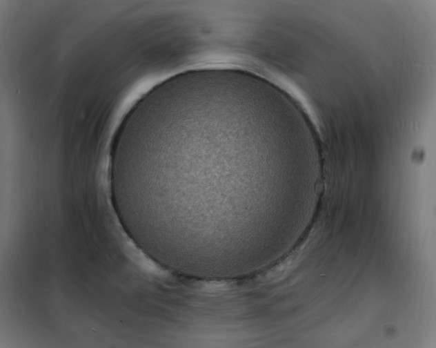 X0000101481472200807141403