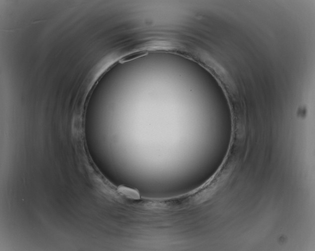 X0000101481473200807141403