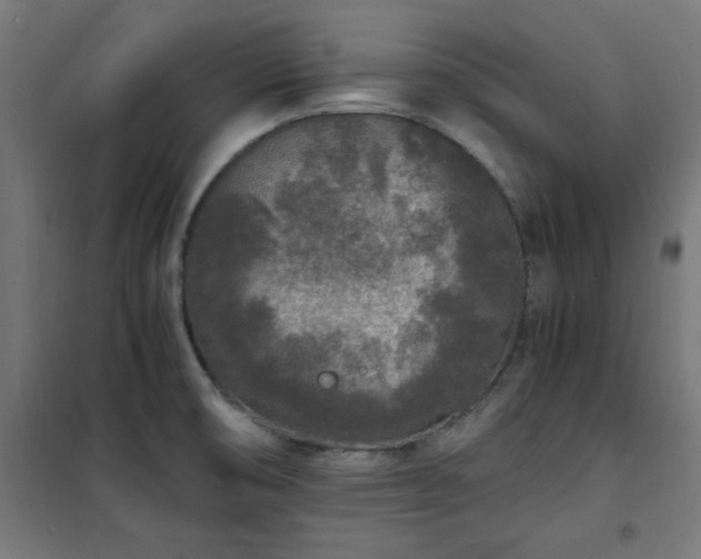 X0000101481474200807141403