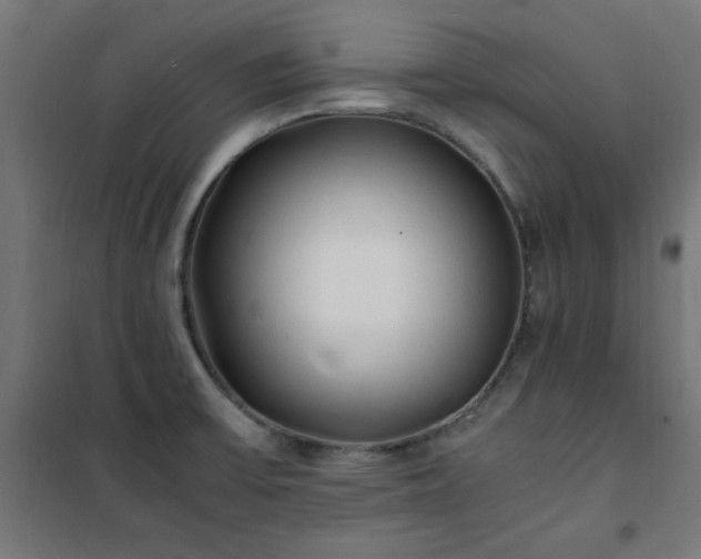X0000101481475200807141403
