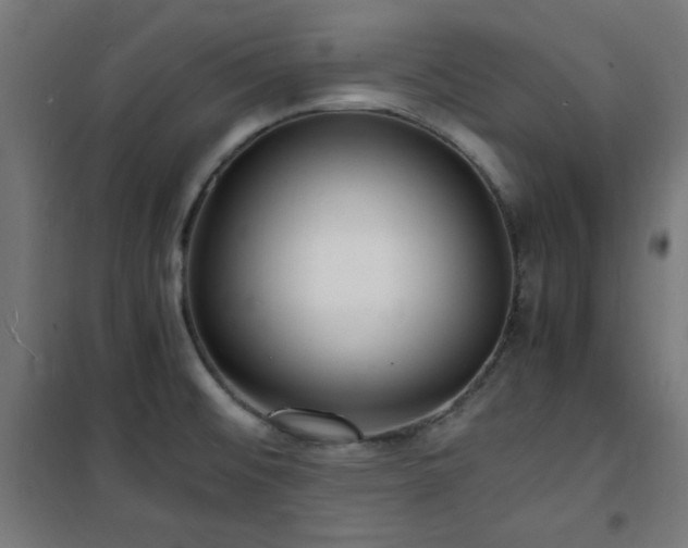 X0000101481476200807141403