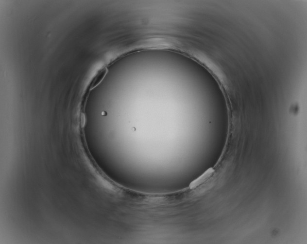 X0000101481477200807141403