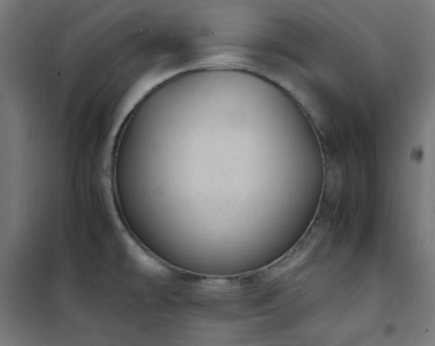 X0000101481478200807141403
