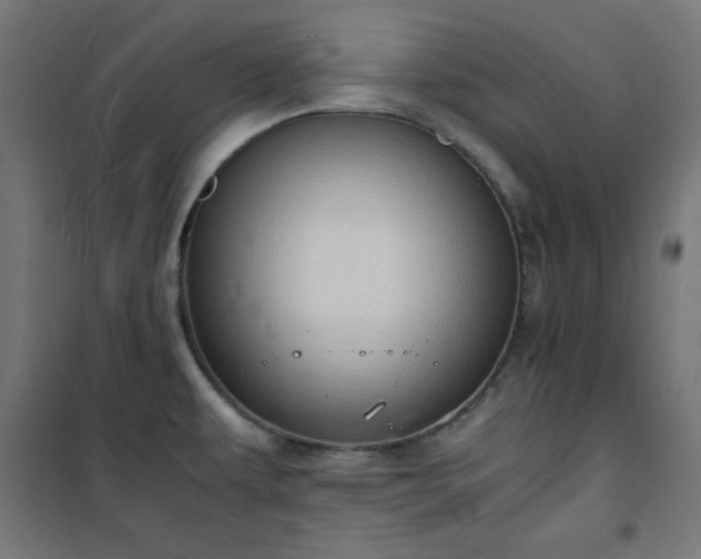 X0000101481479200807141403