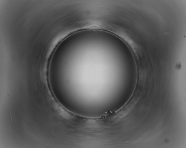 X0000101481480200807141403