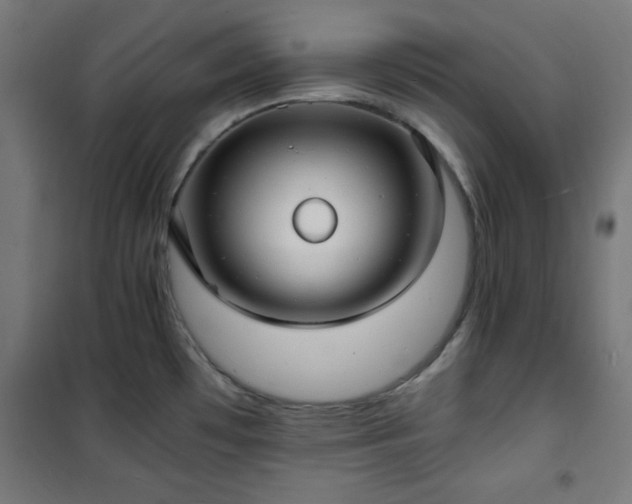 X0000101481481200807141403