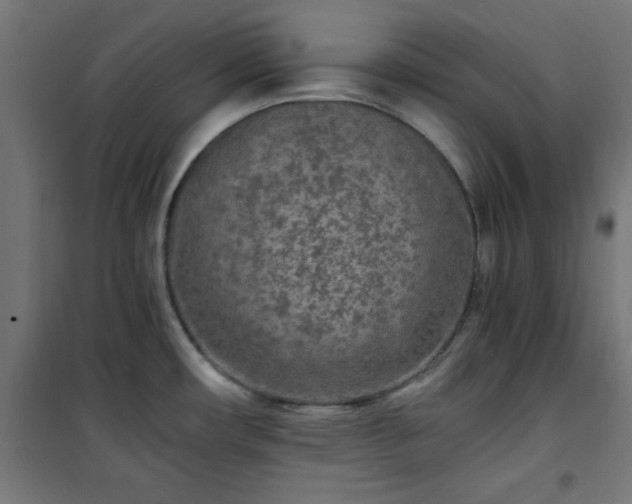 X0000101481482200807141403