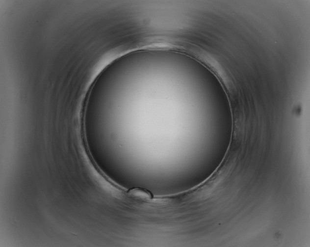 X0000101481483200807141403