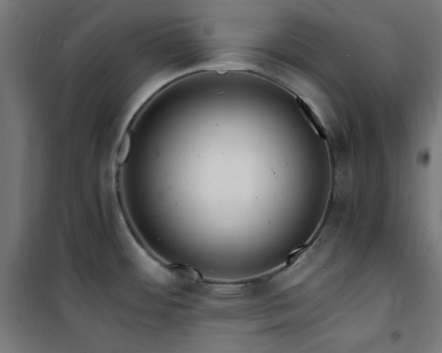 X0000101481484200807141403