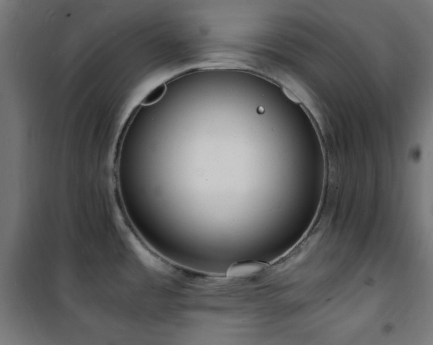 X0000101481485200807141403