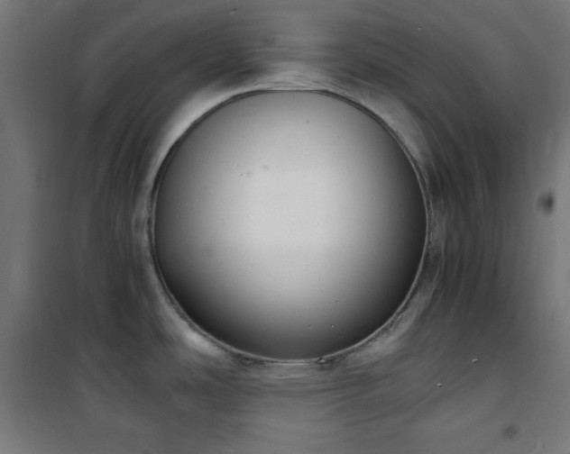 X0000101481486200807141403