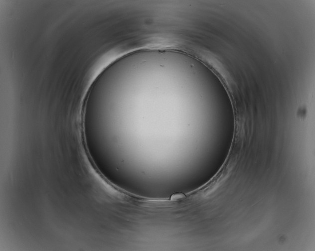 X0000101481487200807141403
