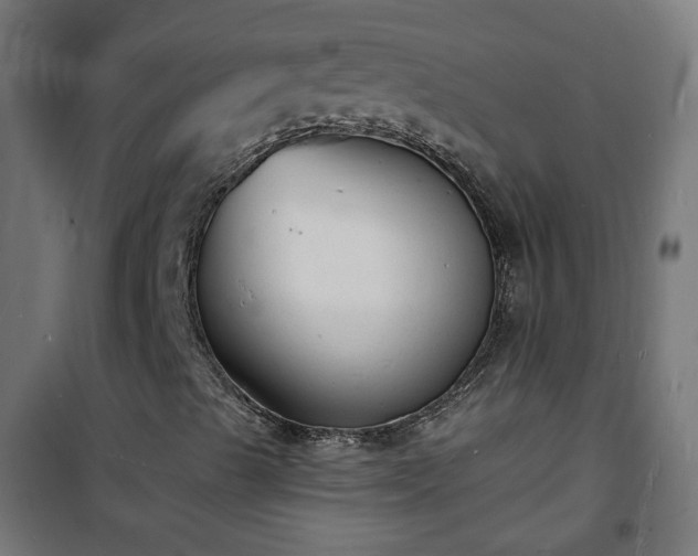 X0000101481489200807141402