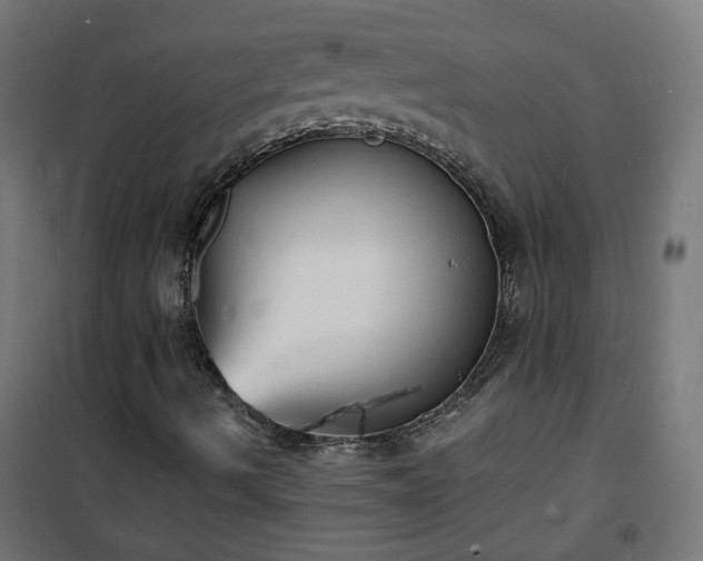 X0000101481490200807141402