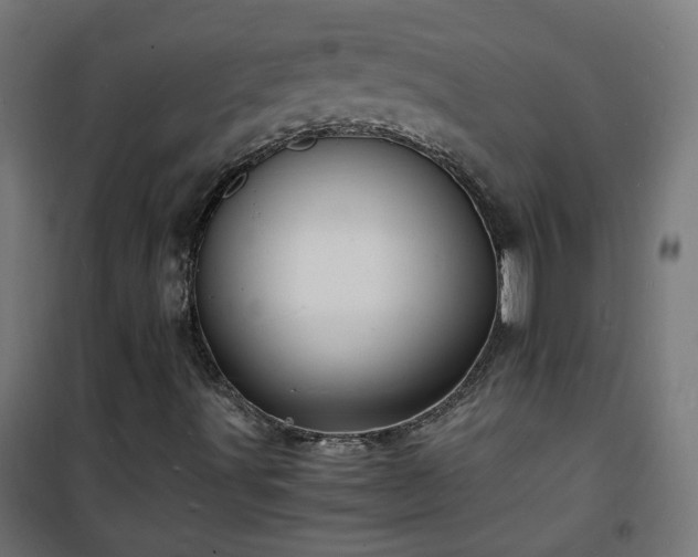 X0000101481491200807141402