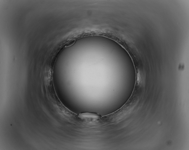 X0000101481492200807141402