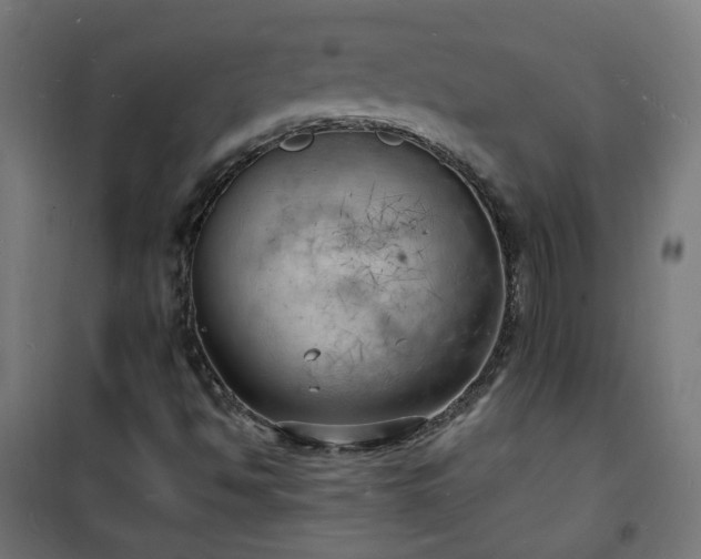 X0000101481494200807141402