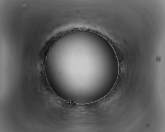 X0000101481495200807141402
