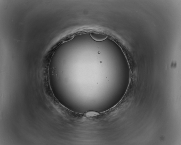 X0000101481496200807141402
