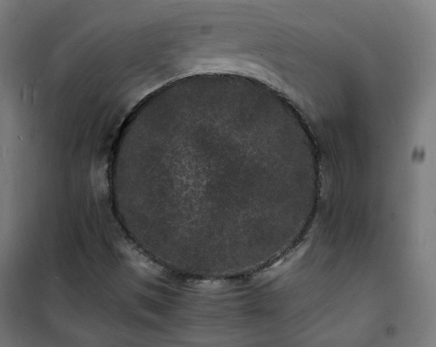 X0000101481497200807141402