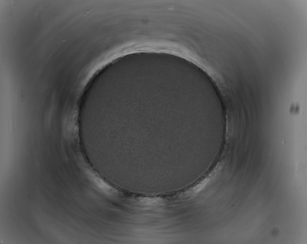 X0000101481498200807141402