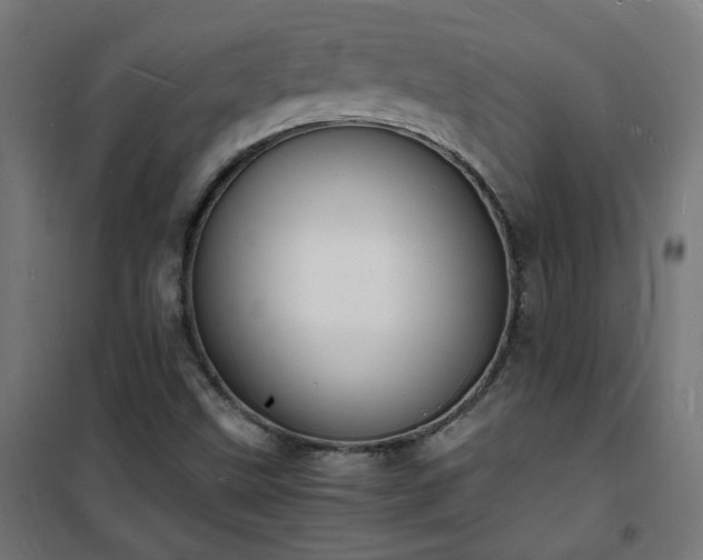 X0000101481499200807141402