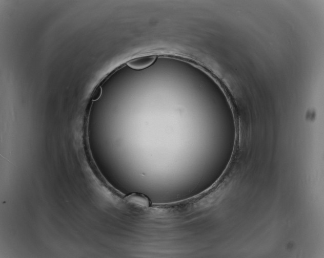 X0000101481500200807141403