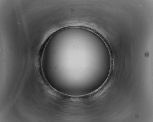 X0000101481501200807141403